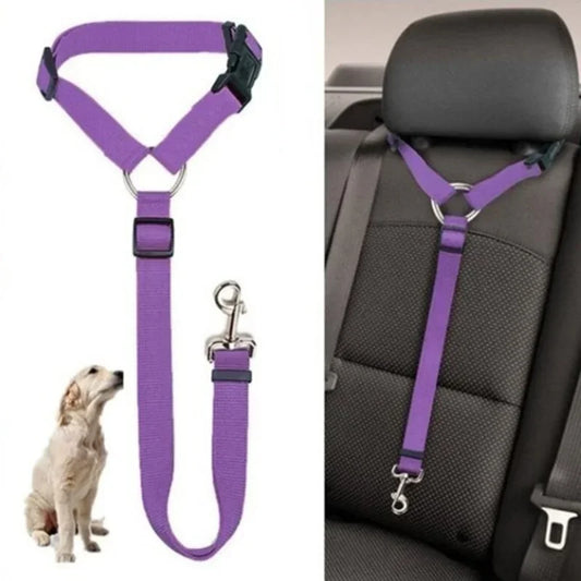 SafeDog