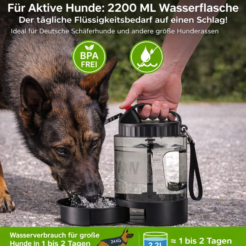 PawSip – Durstlöscher