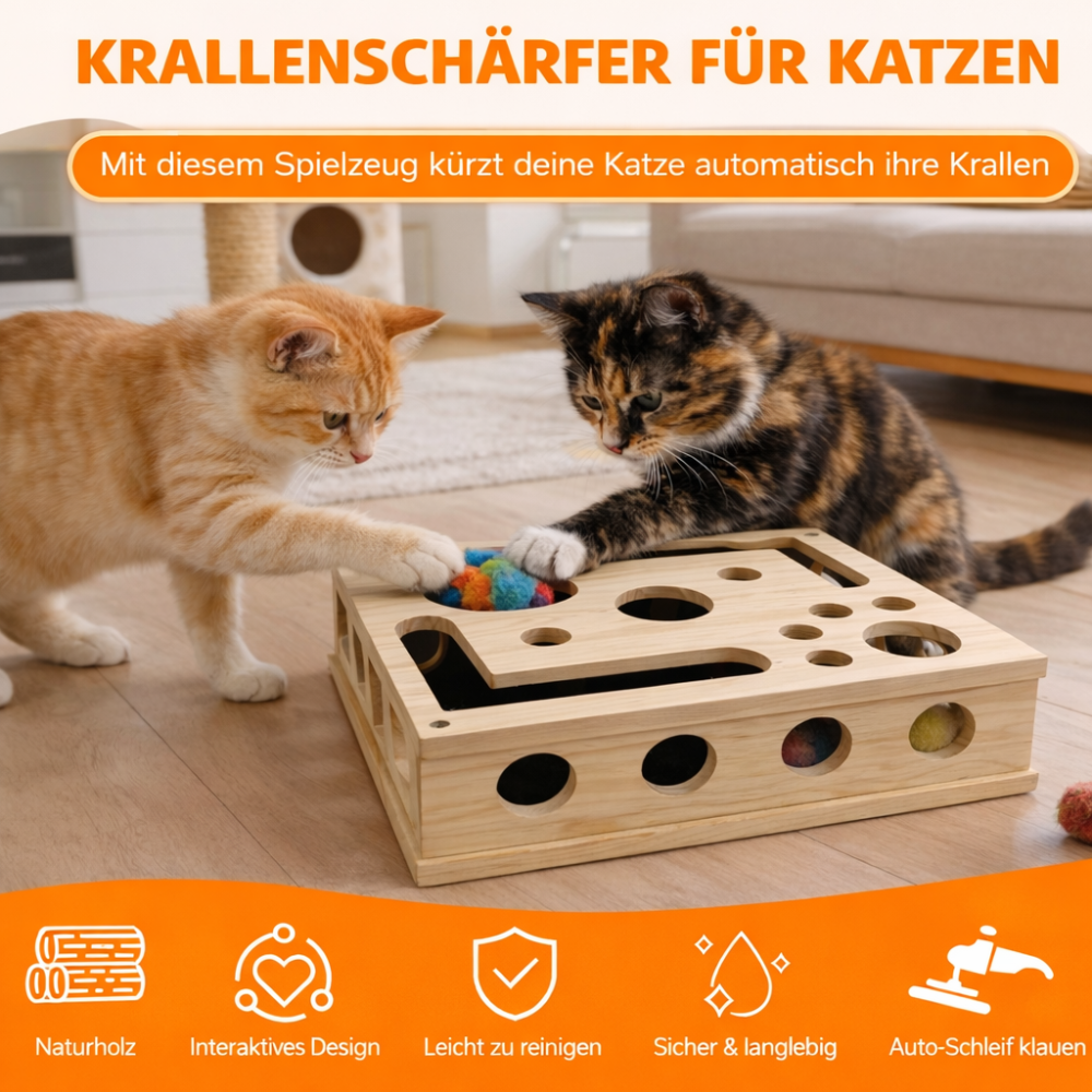 KittyQuest – DenkSpiel Arena
