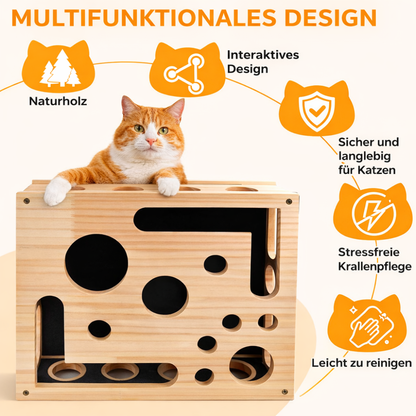 KittyQuest – DenkSpiel Arena