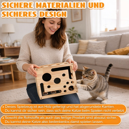 KittyQuest – DenkSpiel Arena