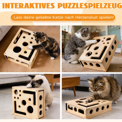 KittyQuest – DenkSpiel Arena